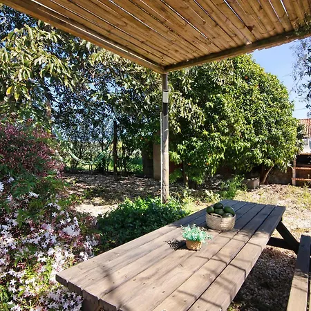 Holiday home Casa Pimenta Rosa *